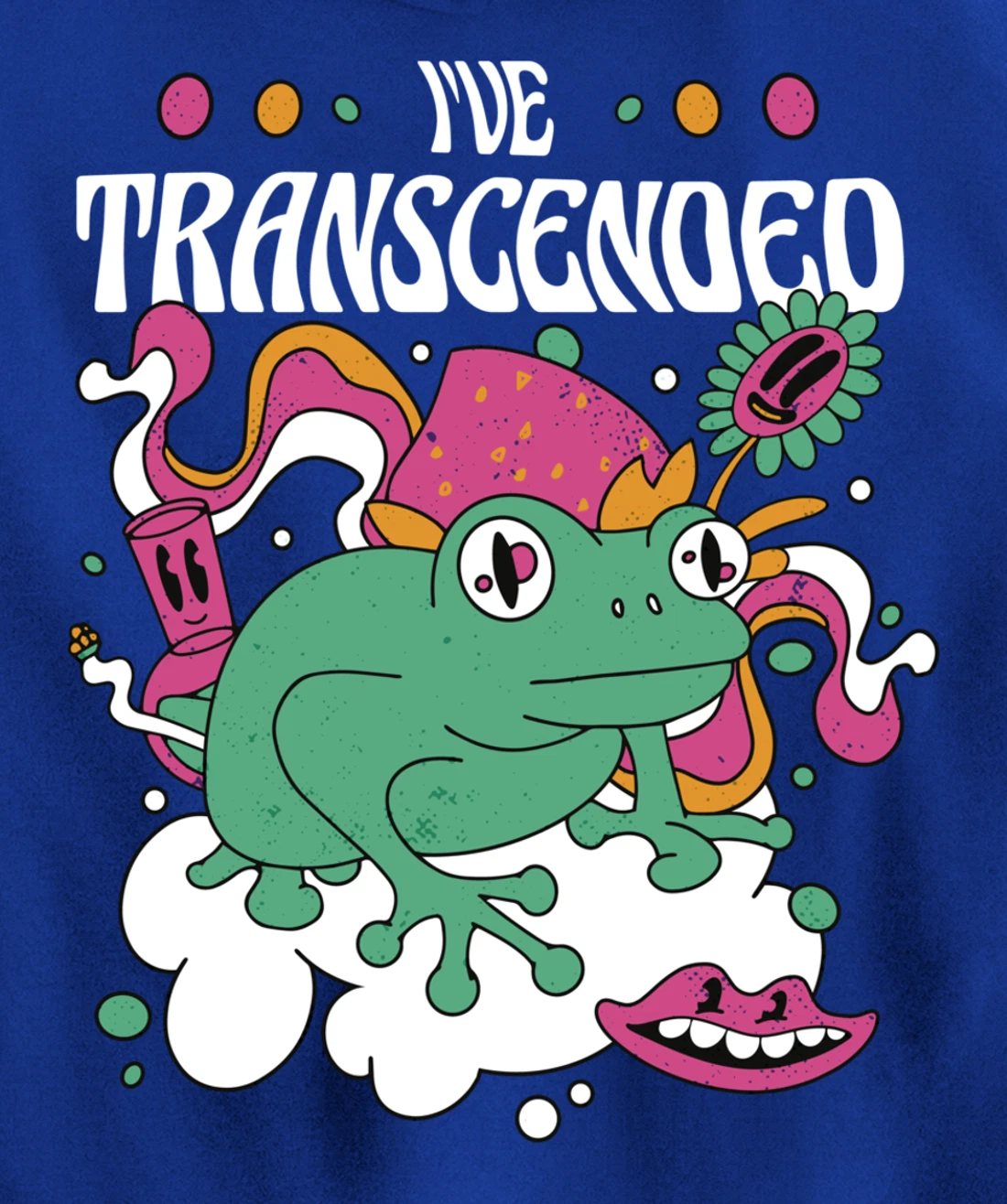 Funny I've Transcended Backside Party Pullover Hoodie