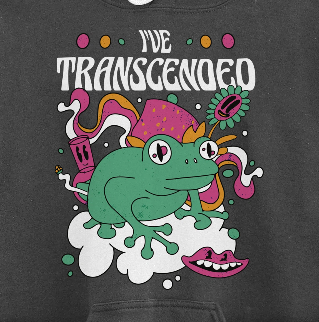 Funny I've Transcended Backside Party Pullover Hoodie
