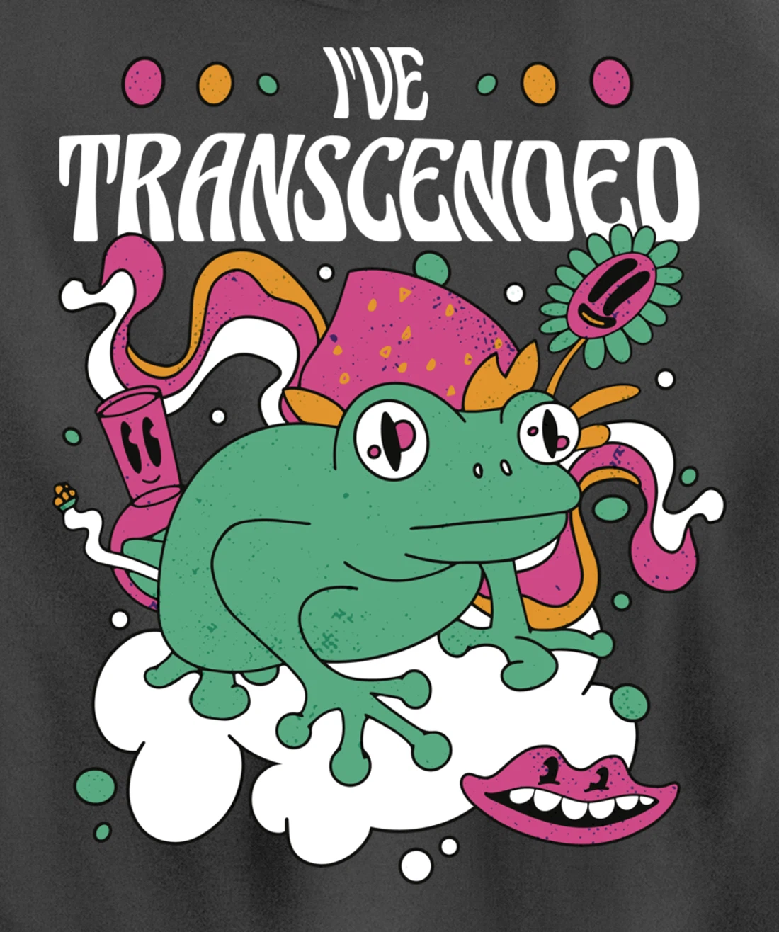 Funny I've Transcended Backside Party Pullover Hoodie