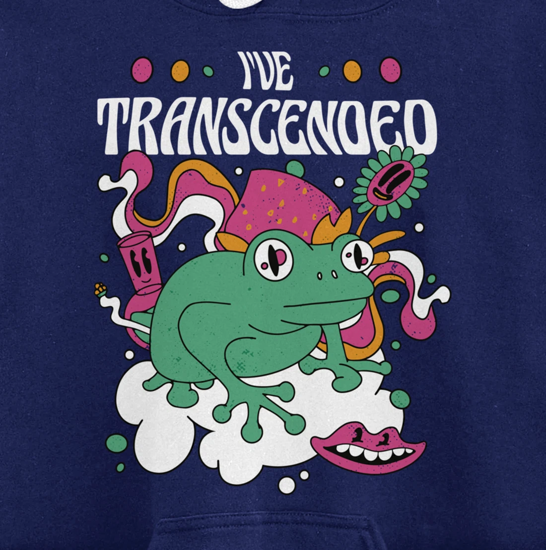 Funny I've Transcended Backside Party Pullover Hoodie