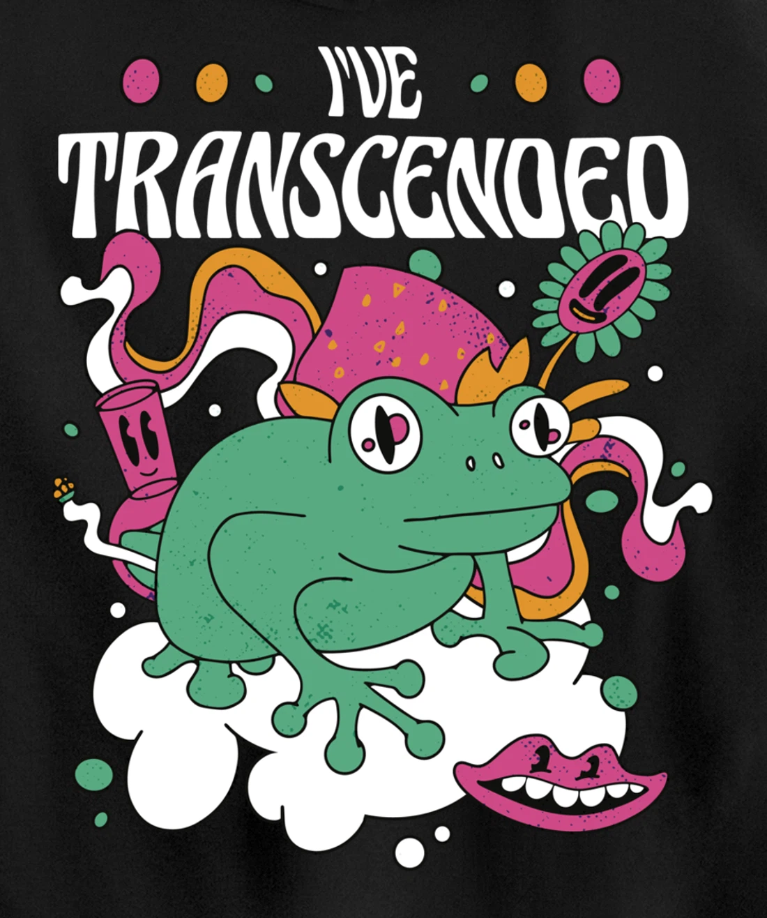 Funny I've Transcended Backside Party Pullover Hoodie