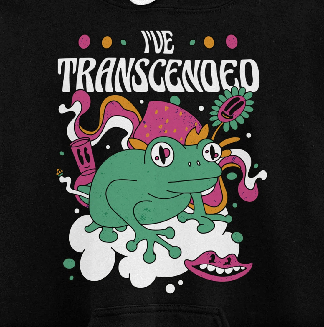 Funny I've Transcended Backside Party Pullover Hoodie
