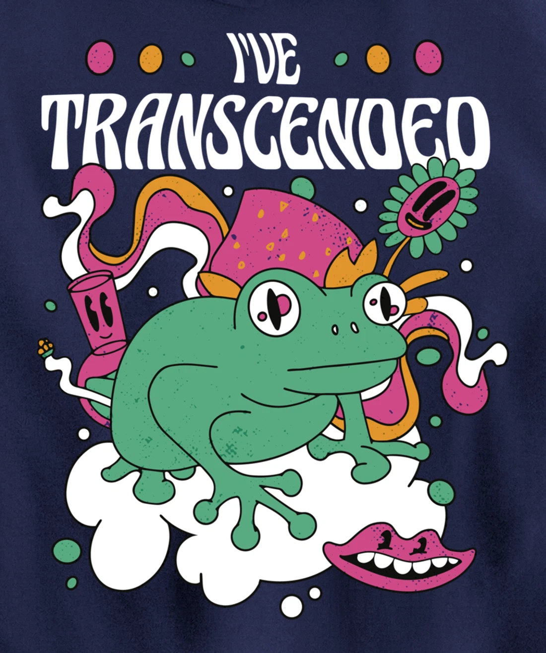 Funny I've Transcended Backside Party Pullover Hoodie