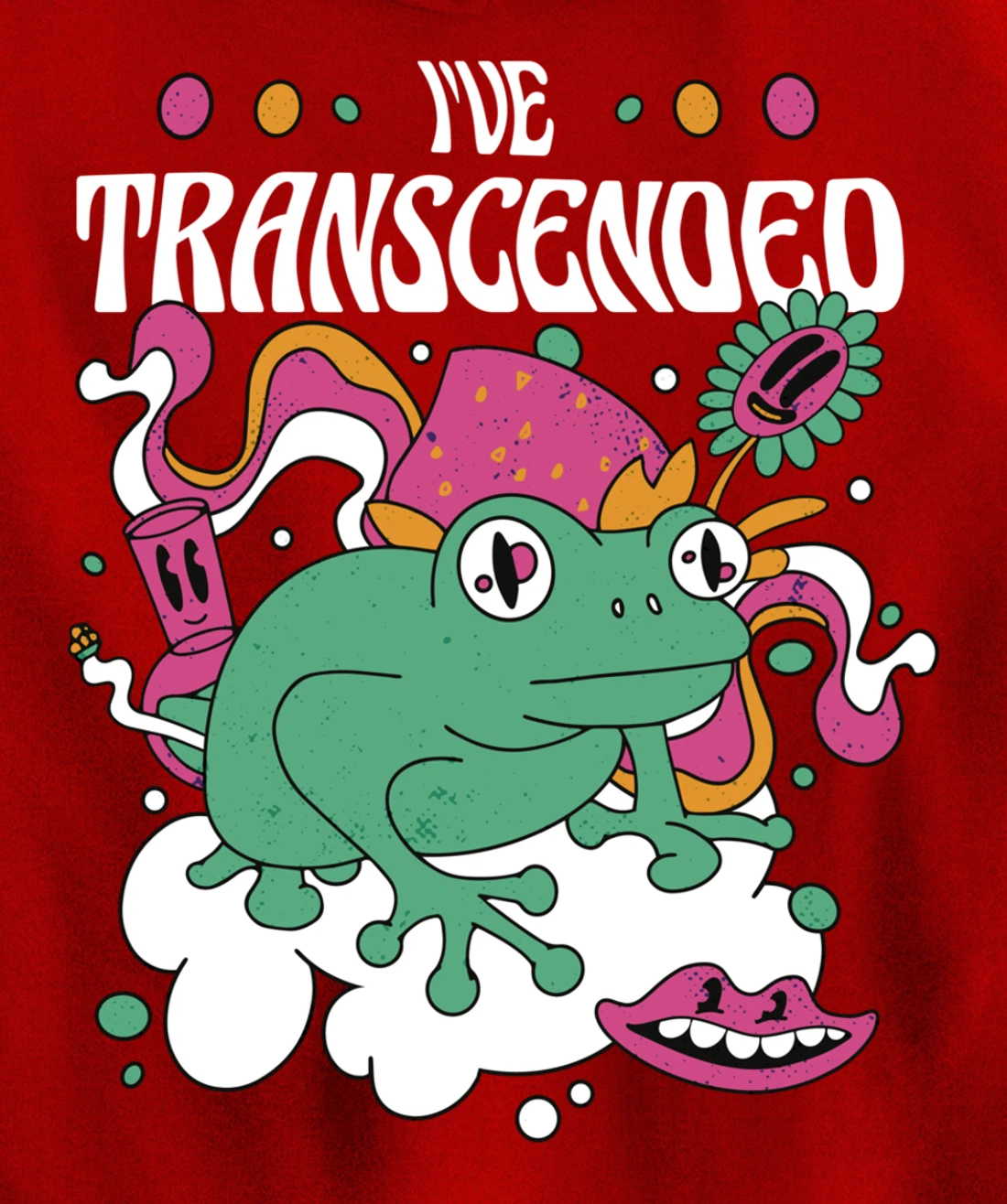 Funny I've Transcended Backside Party Pullover Hoodie