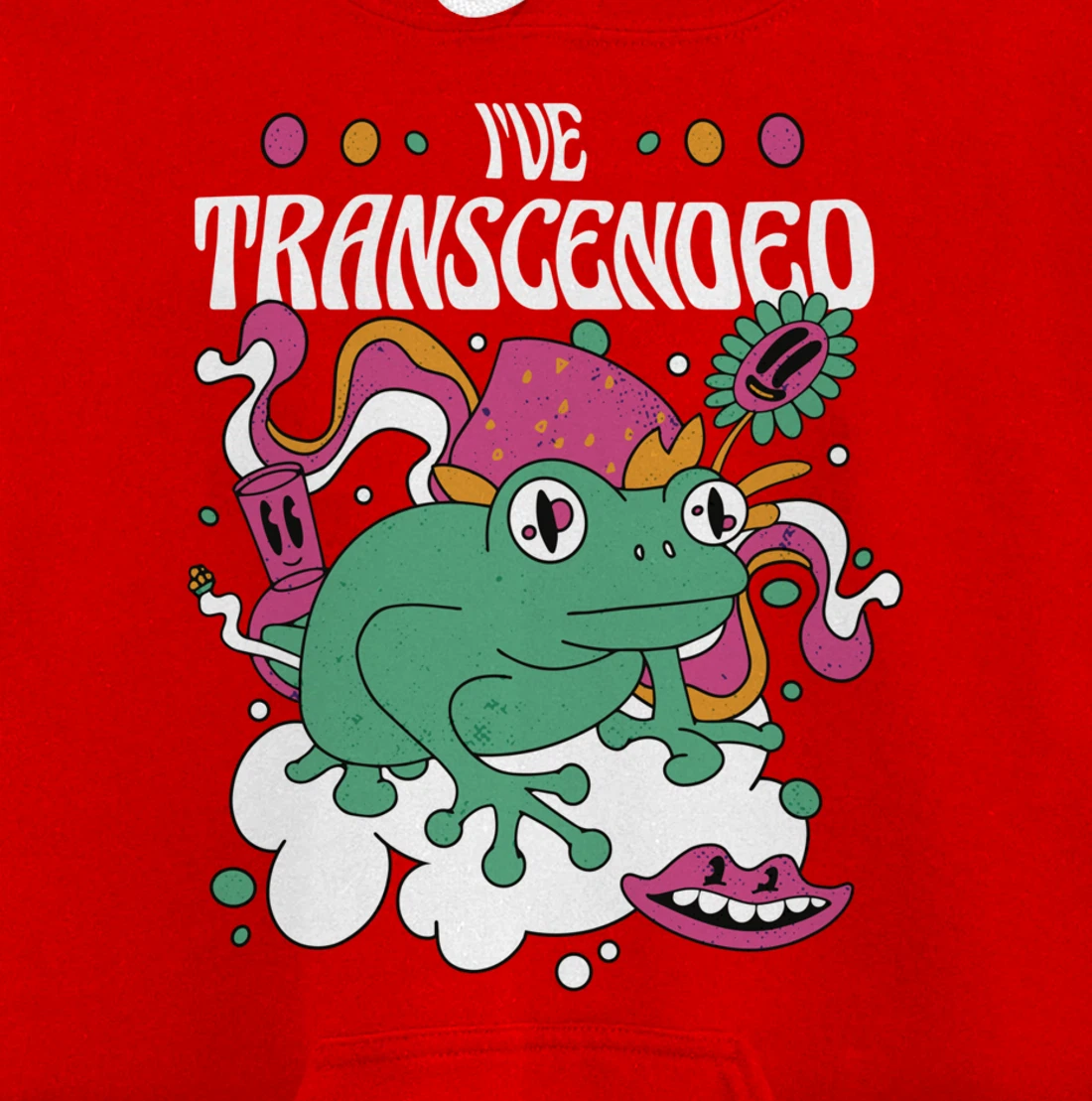 Funny I've Transcended Backside Party Pullover Hoodie