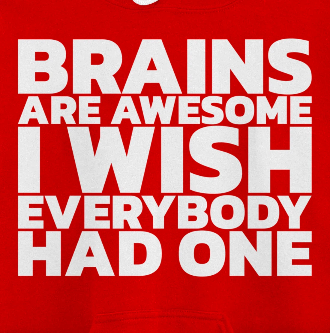 Brains Are Awesome I Wish Everybody Had One Pullover Hoodie