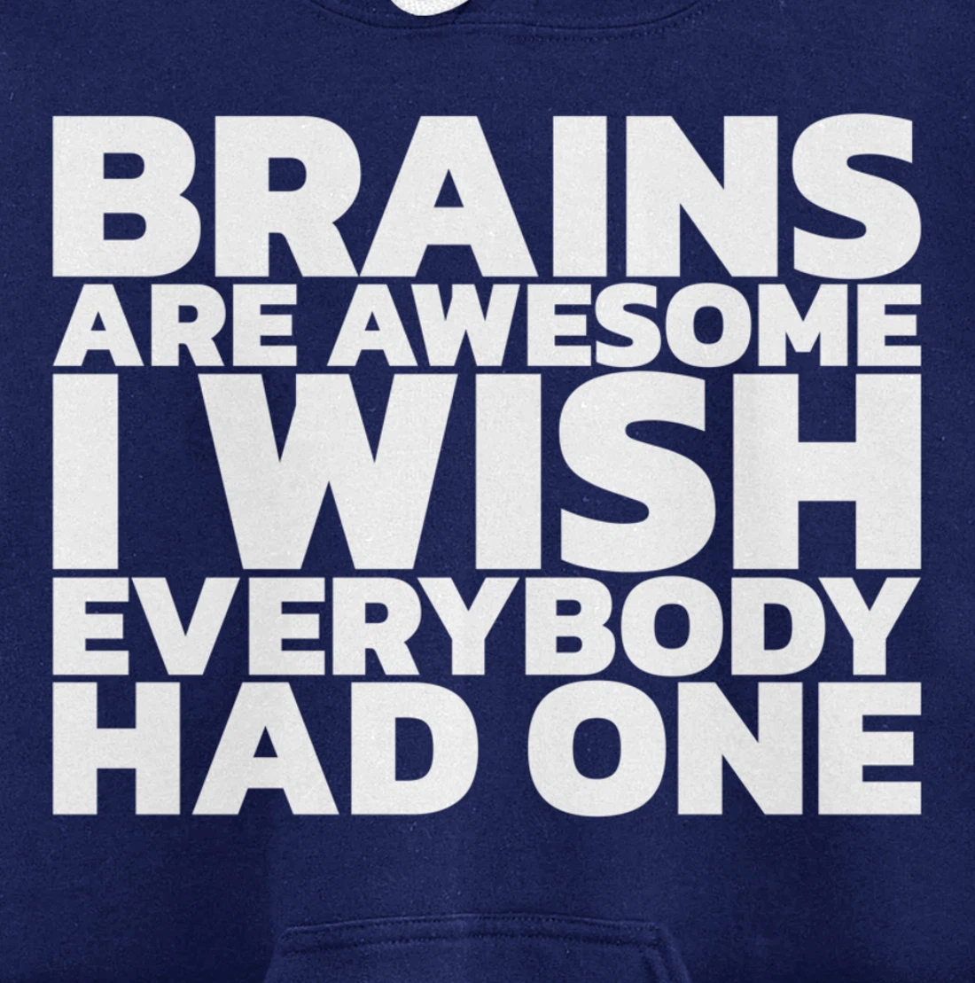 Brains Are Awesome I Wish Everybody Had One Pullover Hoodie
