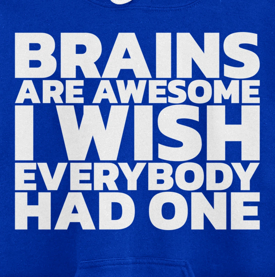 Brains Are Awesome I Wish Everybody Had One Pullover Hoodie