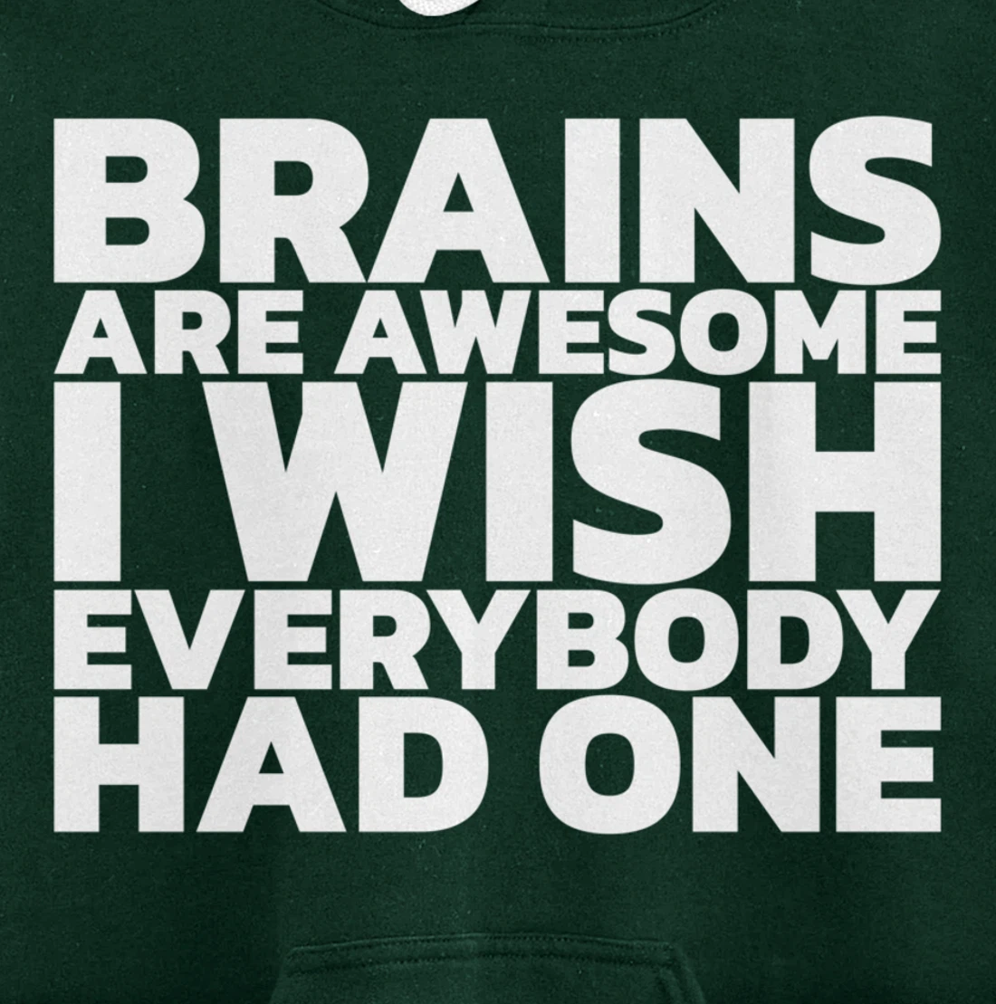 Brains Are Awesome I Wish Everybody Had One Pullover Hoodie