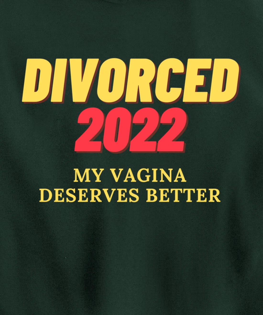 For Women Ex-Husband Divorced 2022 Funny Divorce Party Pullover Hoodie