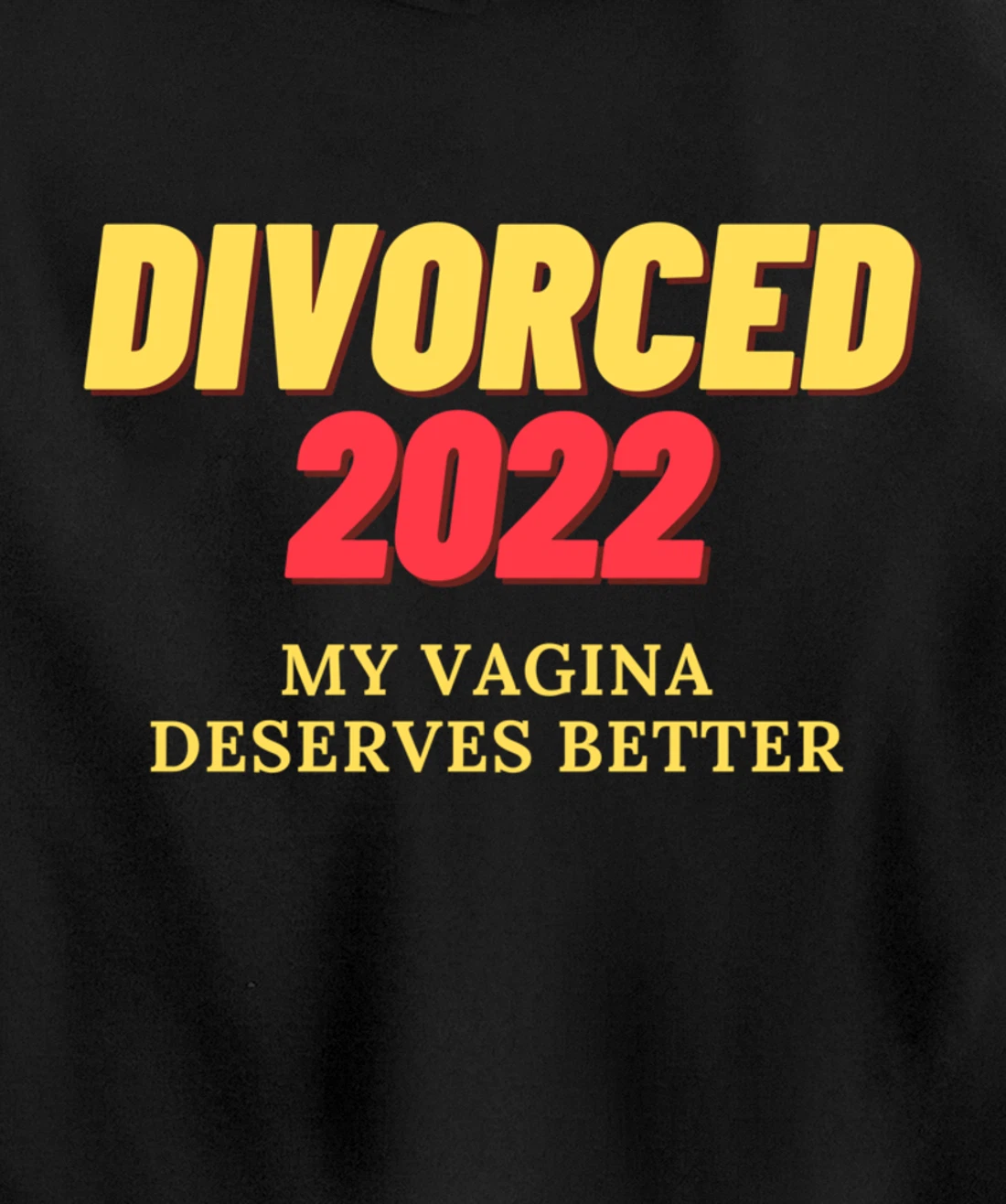 For Women Ex-Husband Divorced 2022 Funny Divorce Party Pullover Hoodie