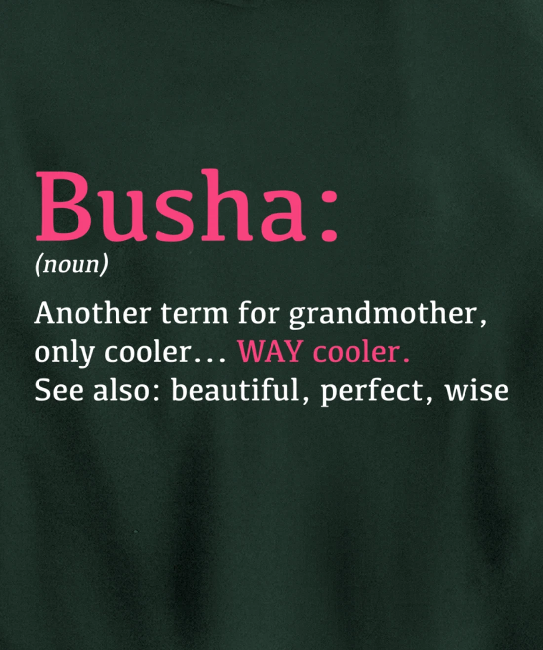 Busha: Funny Definition Noun - Another Term Pullover Hoodie