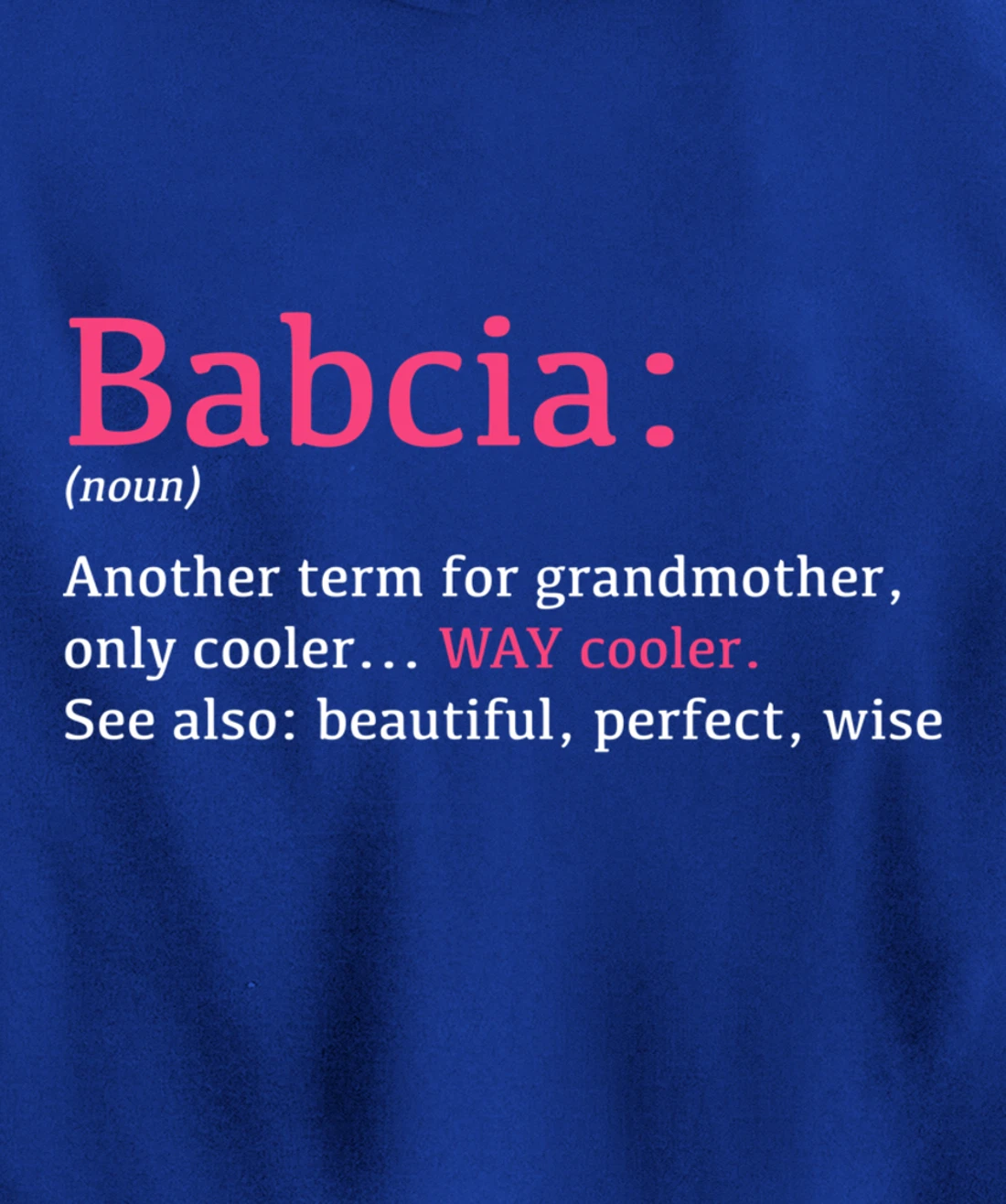 Babcia: Funny Definition Noun - Another Term Pullover Hoodie