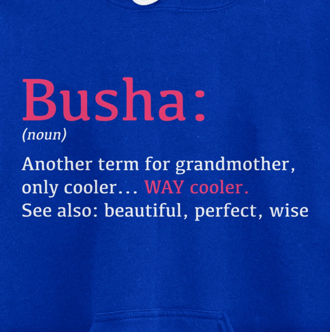 Busha: Funny Definition Noun - Another Term Pullover Hoodie