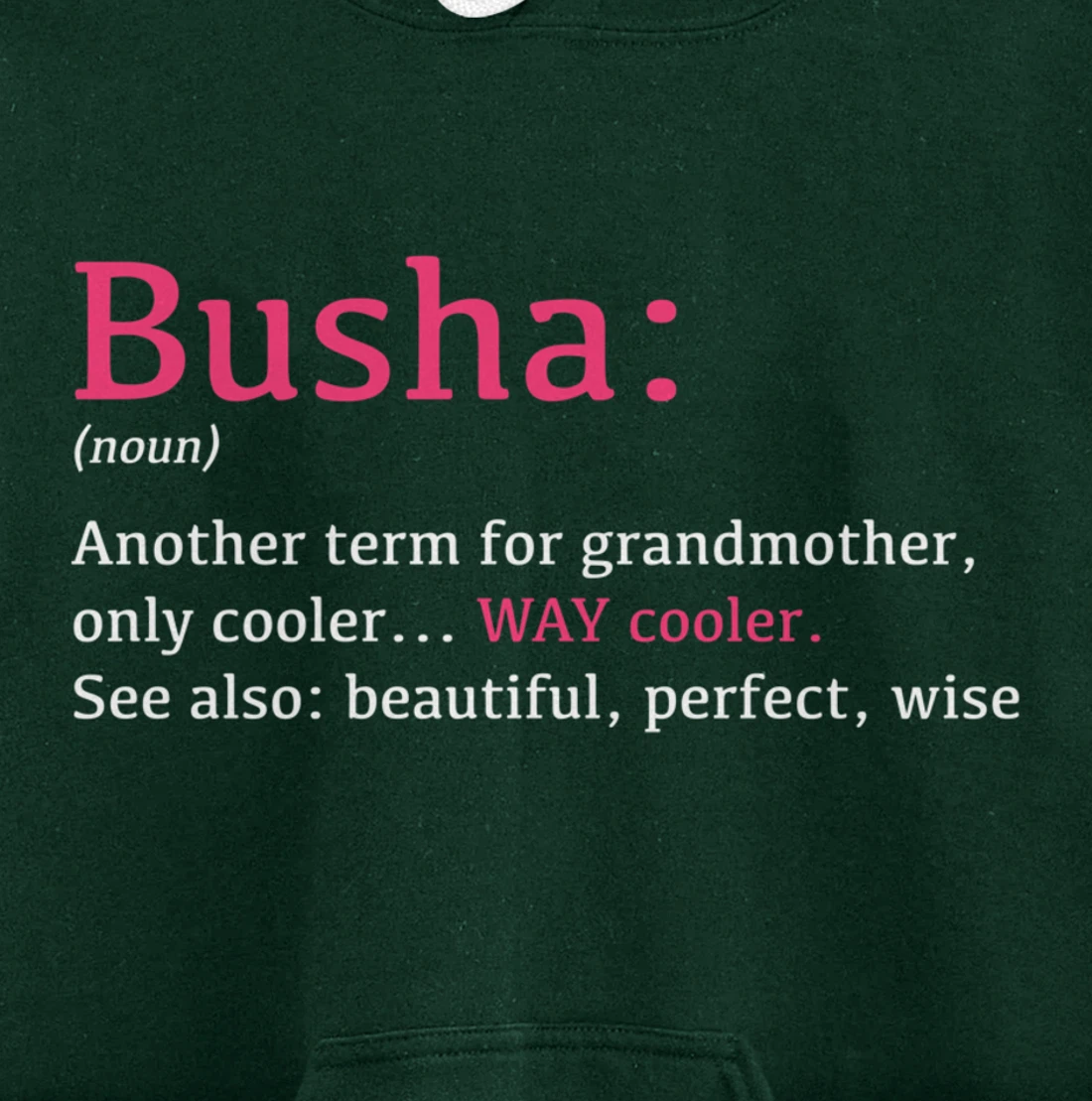 Busha: Funny Definition Noun - Another Term Pullover Hoodie