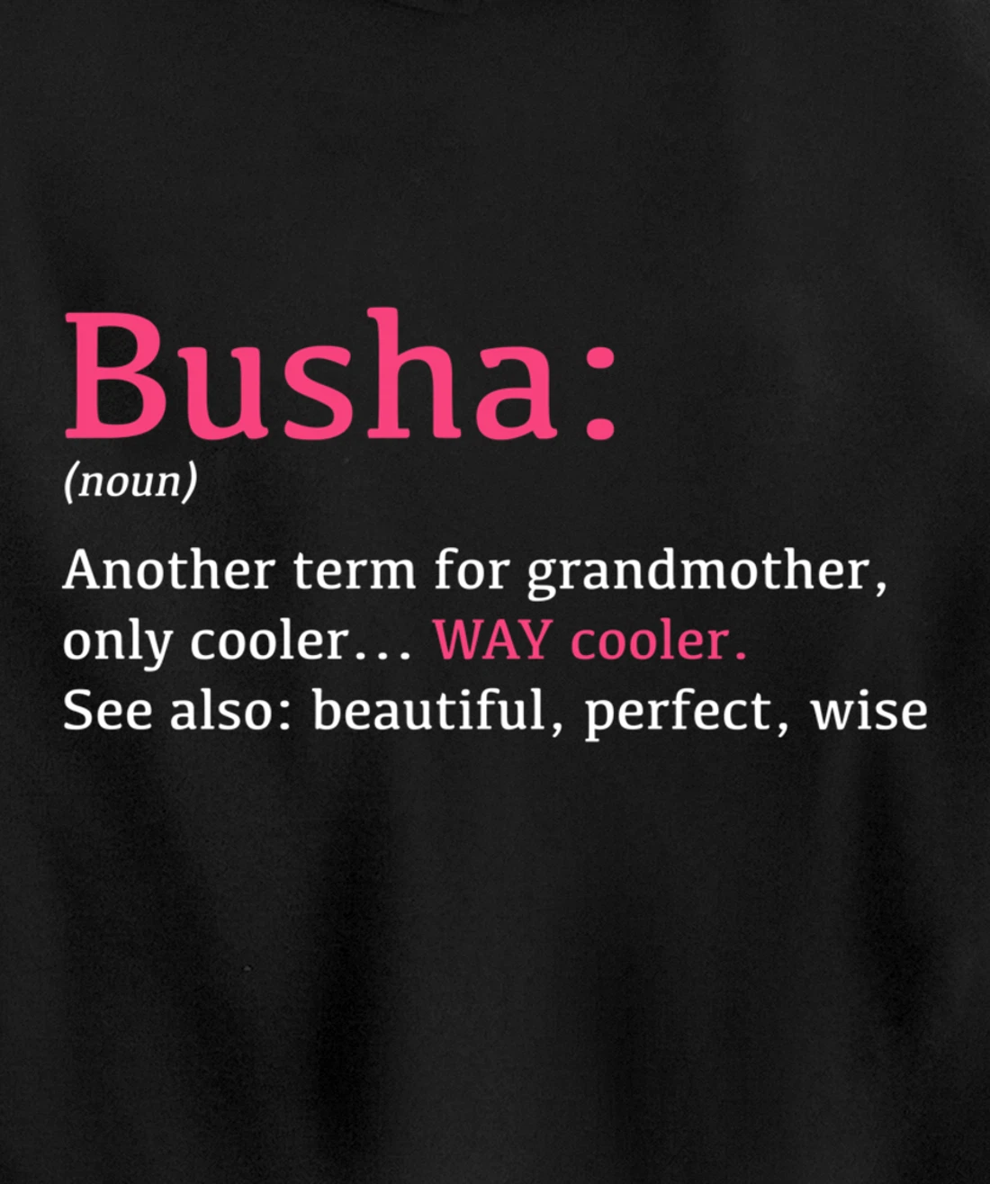 Busha: Funny Definition Noun - Another Term Pullover Hoodie