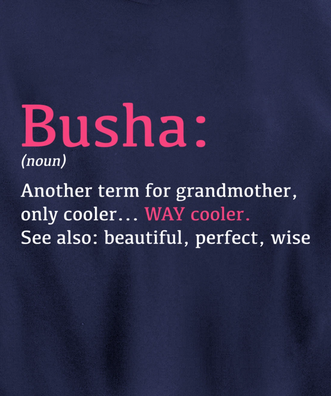 Busha: Funny Definition Noun - Another Term Pullover Hoodie