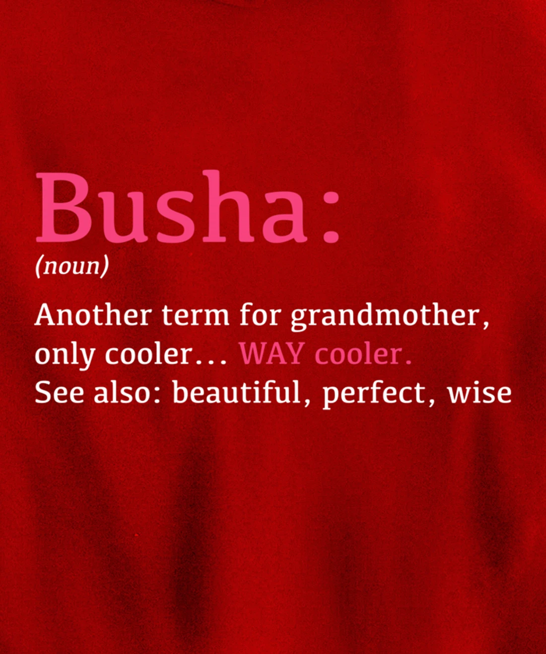 Busha: Funny Definition Noun - Another Term Pullover Hoodie