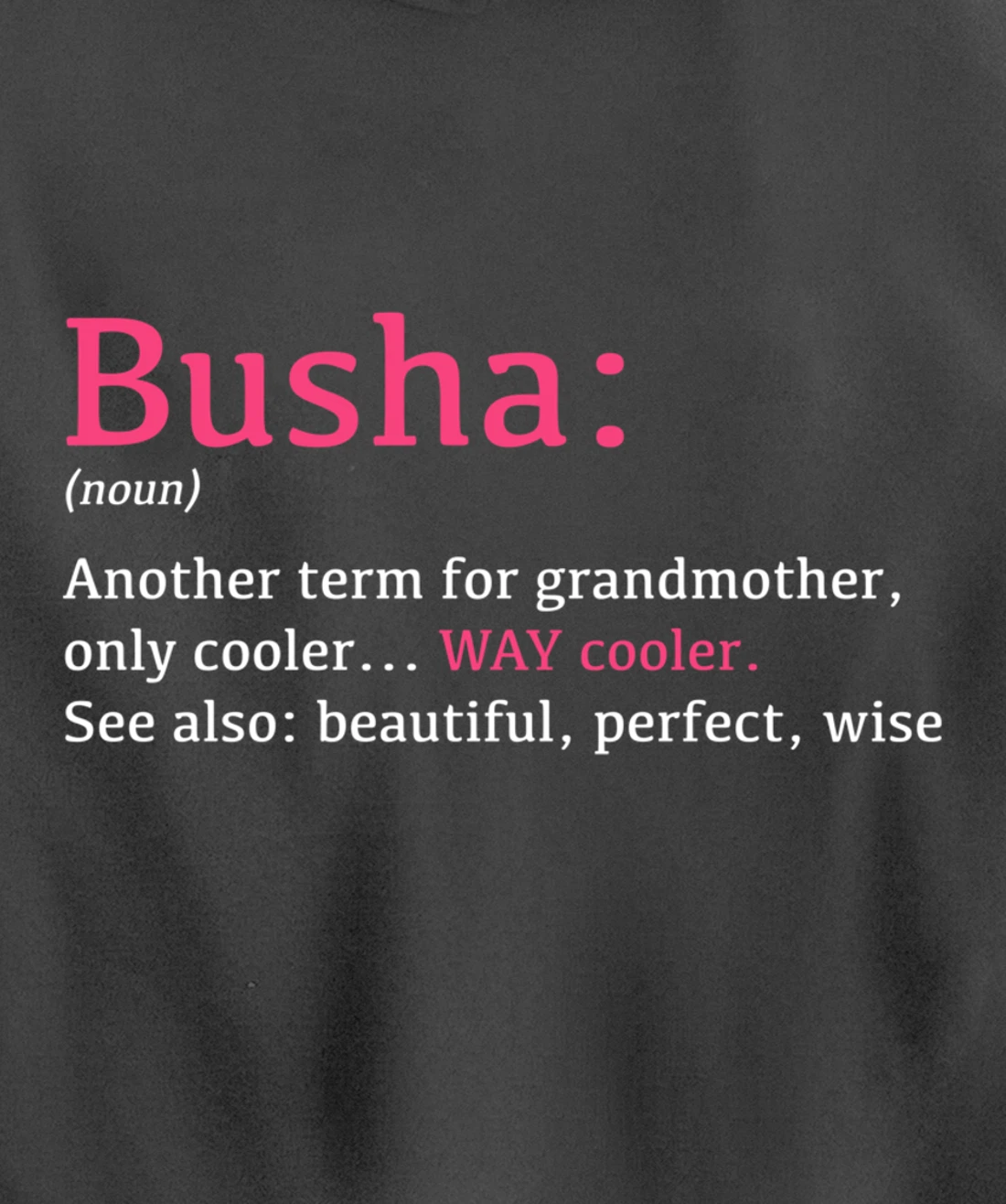 Busha: Funny Definition Noun - Another Term Pullover Hoodie
