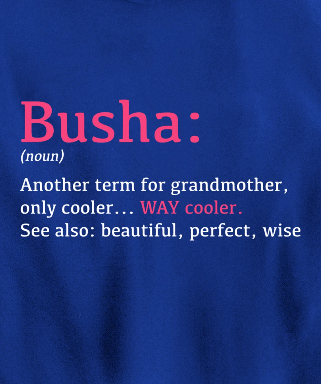 Busha: Funny Definition Noun - Another Term Pullover Hoodie