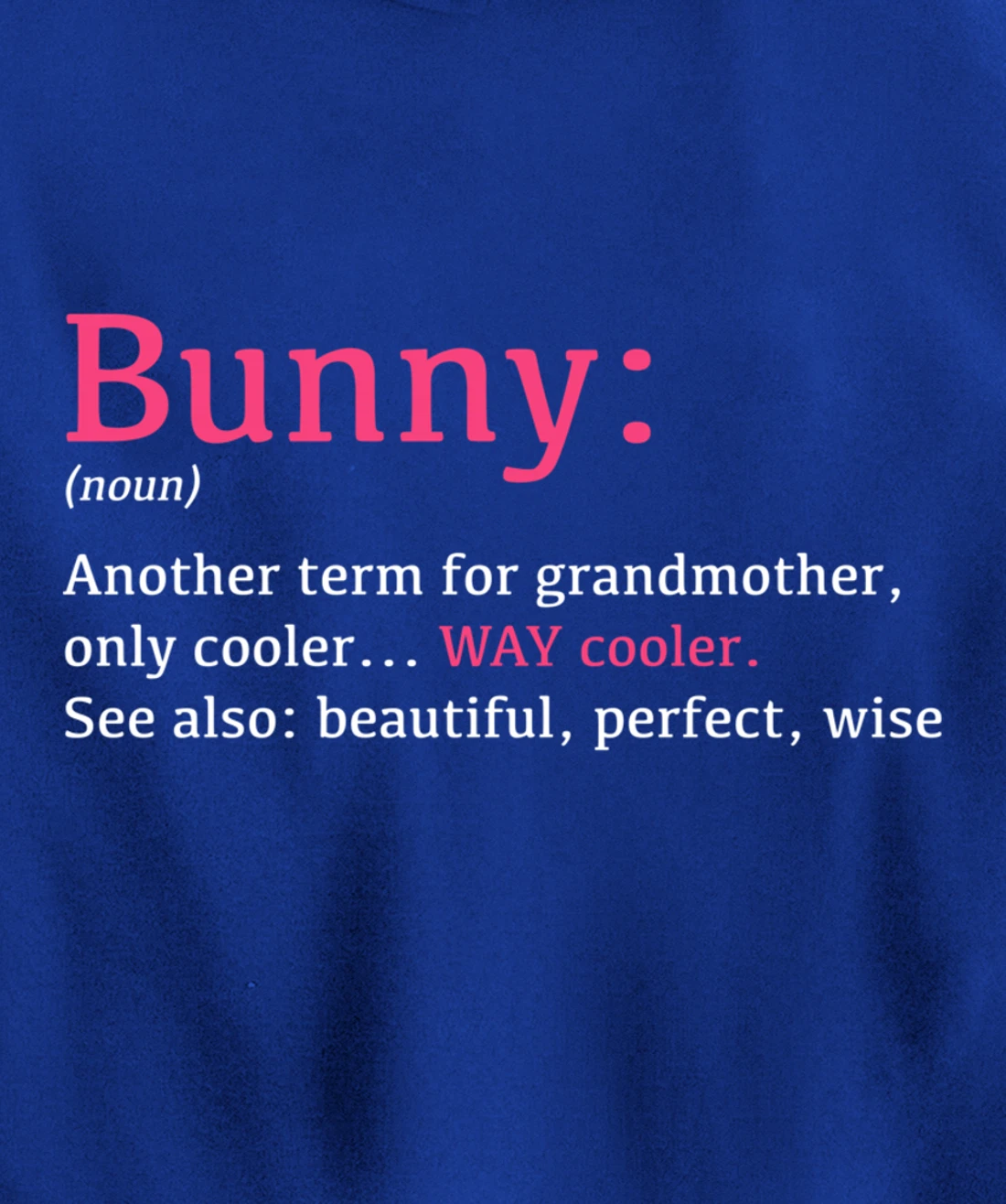 Bunny: Funny Definition Noun - Another Term Pullover Hoodie