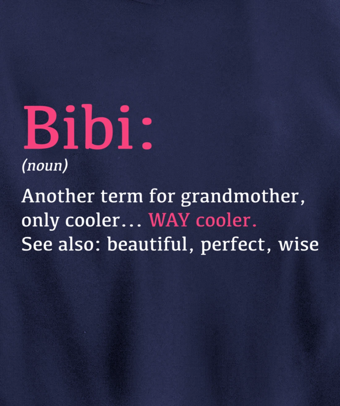Bibi: Funny Definition Noun - Another Term Pullover Hoodie