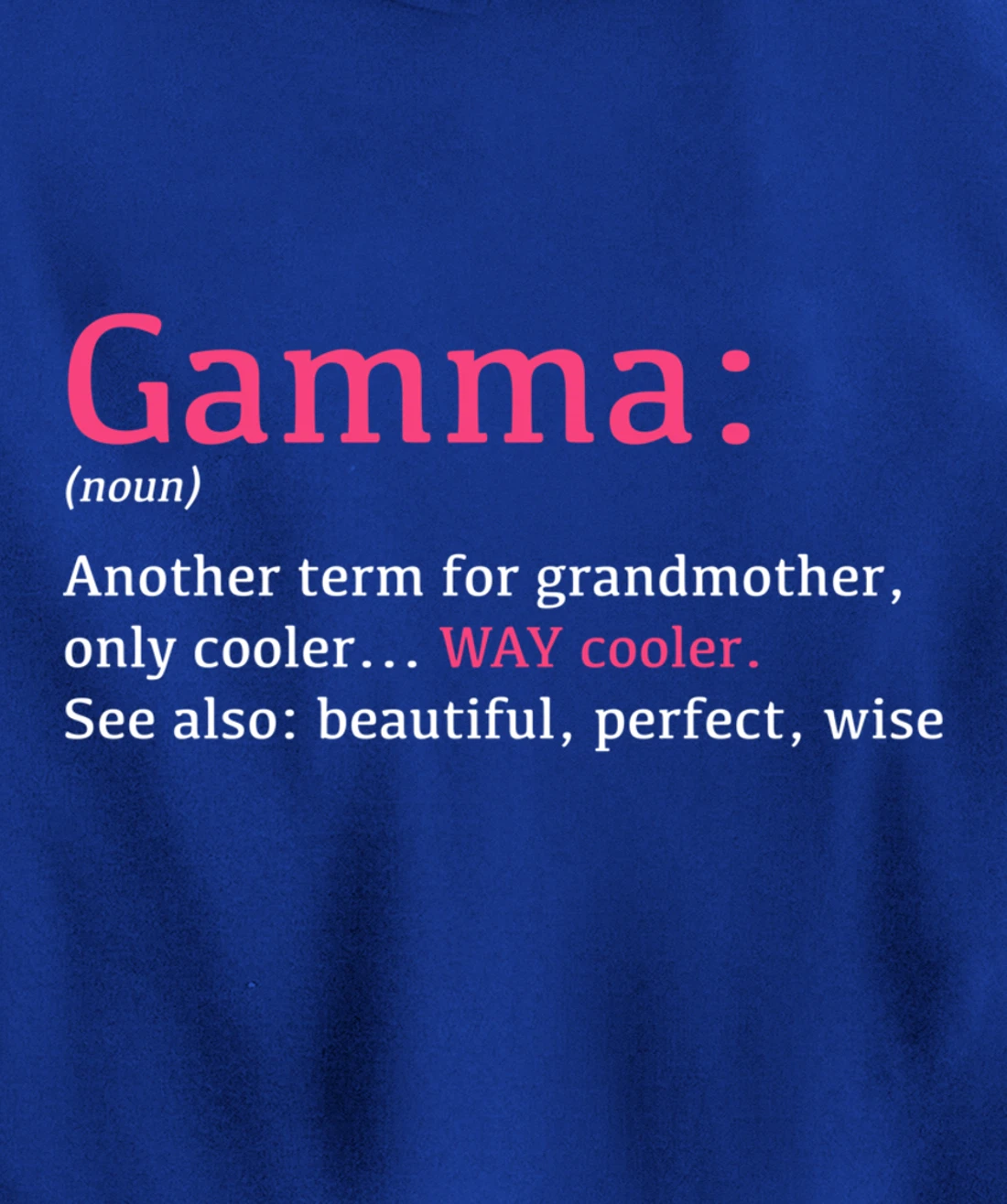 Gamma: Funny Definition Noun - Another Term Pullover Hoodie