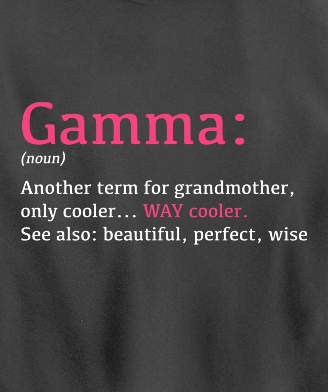 Gamma: Funny Definition Noun - Another Term Pullover Hoodie