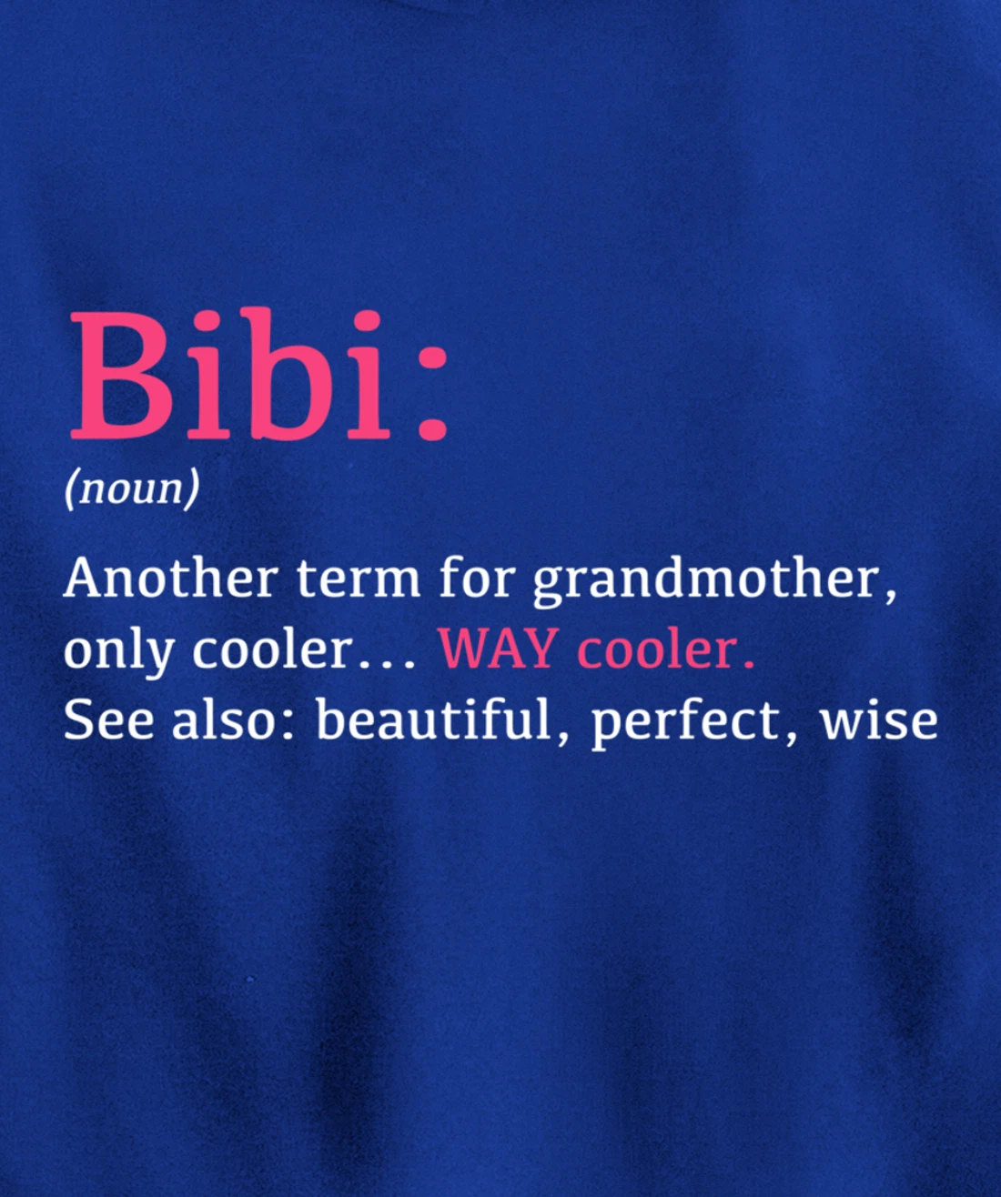 Bibi: Funny Definition Noun - Another Term Pullover Hoodie