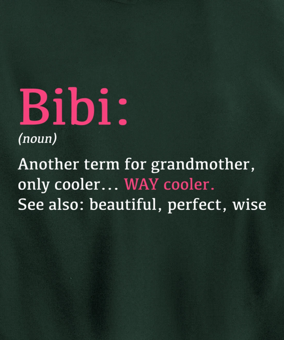 Bibi: Funny Definition Noun - Another Term Pullover Hoodie