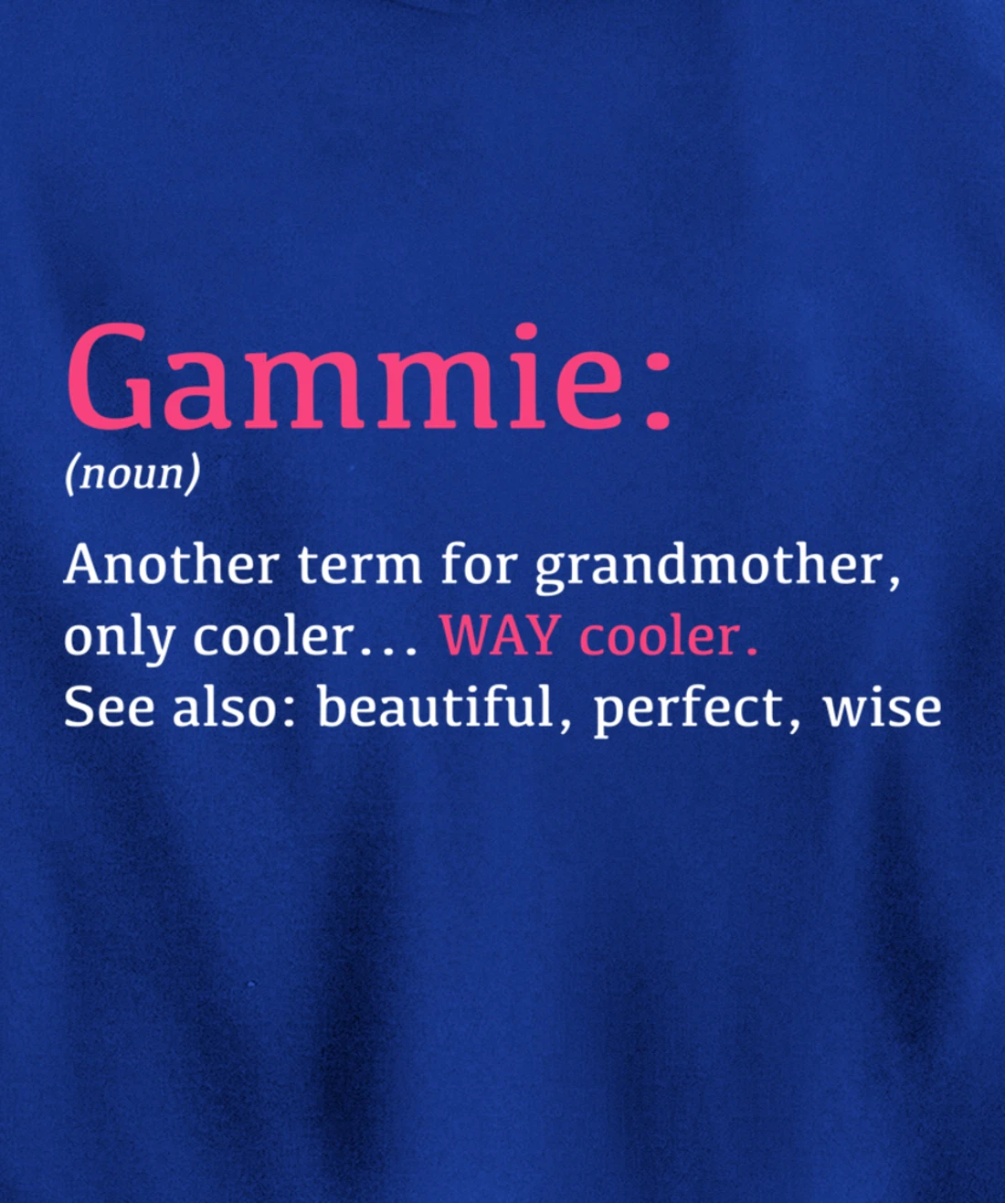 Gammie: Funny Definition Noun - Another Term Pullover Hoodie