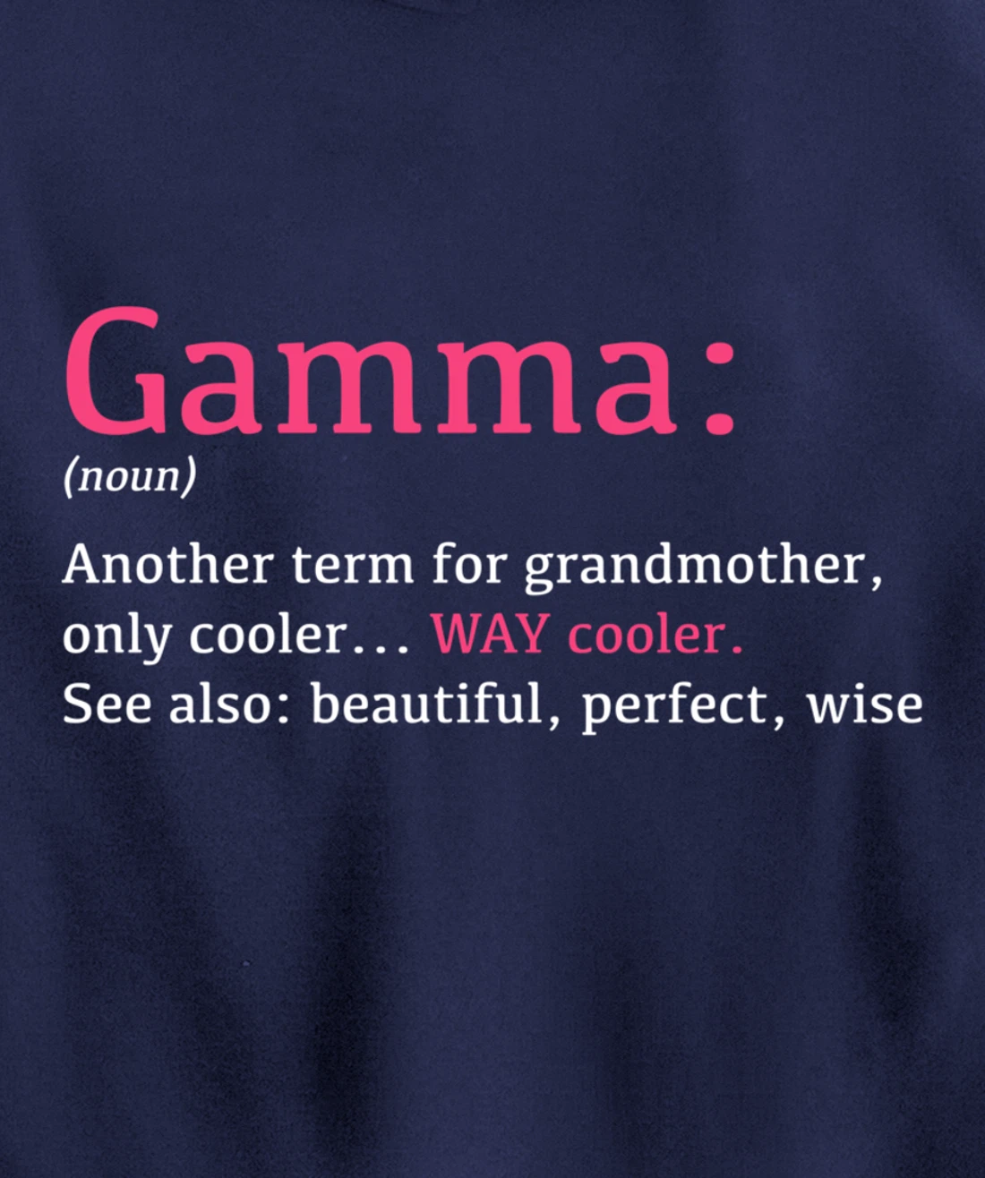 Gamma: Funny Definition Noun - Another Term Pullover Hoodie