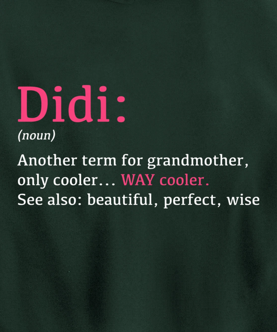 Didi: Funny Definition Noun - Another Term Pullover Hoodie