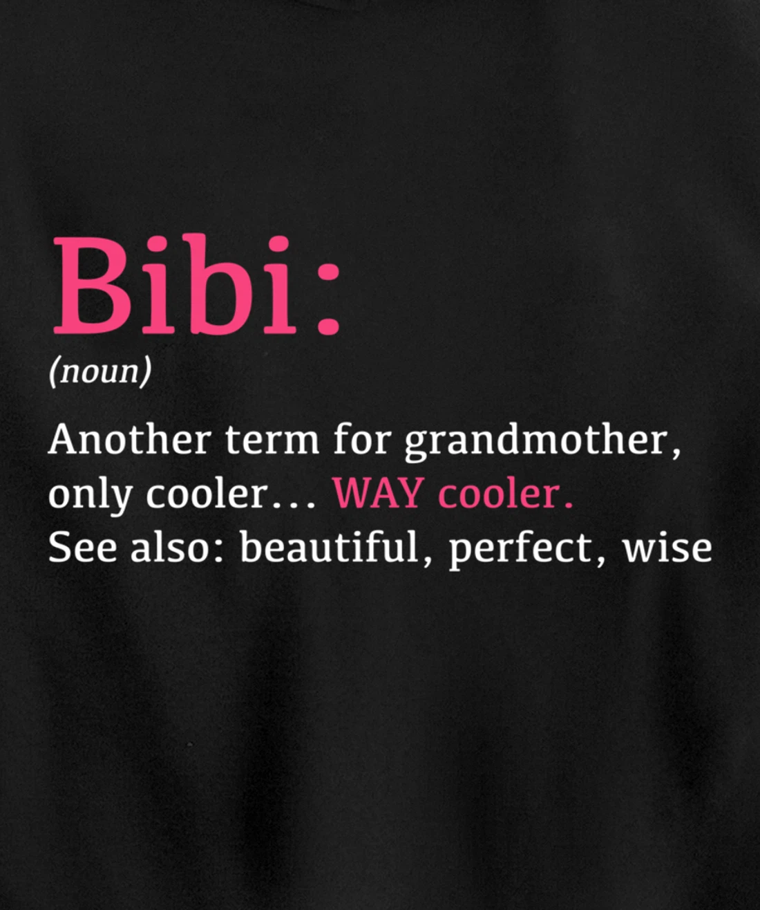 Bibi: Funny Definition Noun - Another Term Pullover Hoodie