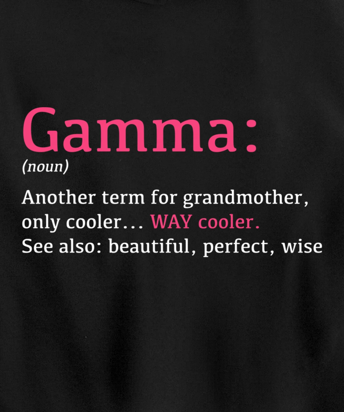 Gamma: Funny Definition Noun - Another Term Pullover Hoodie