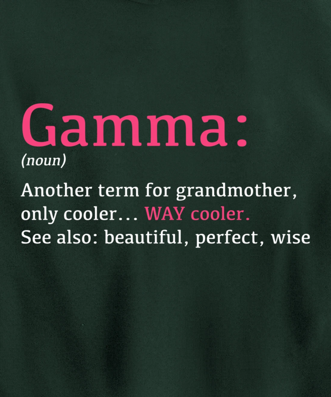 Gamma: Funny Definition Noun - Another Term Pullover Hoodie