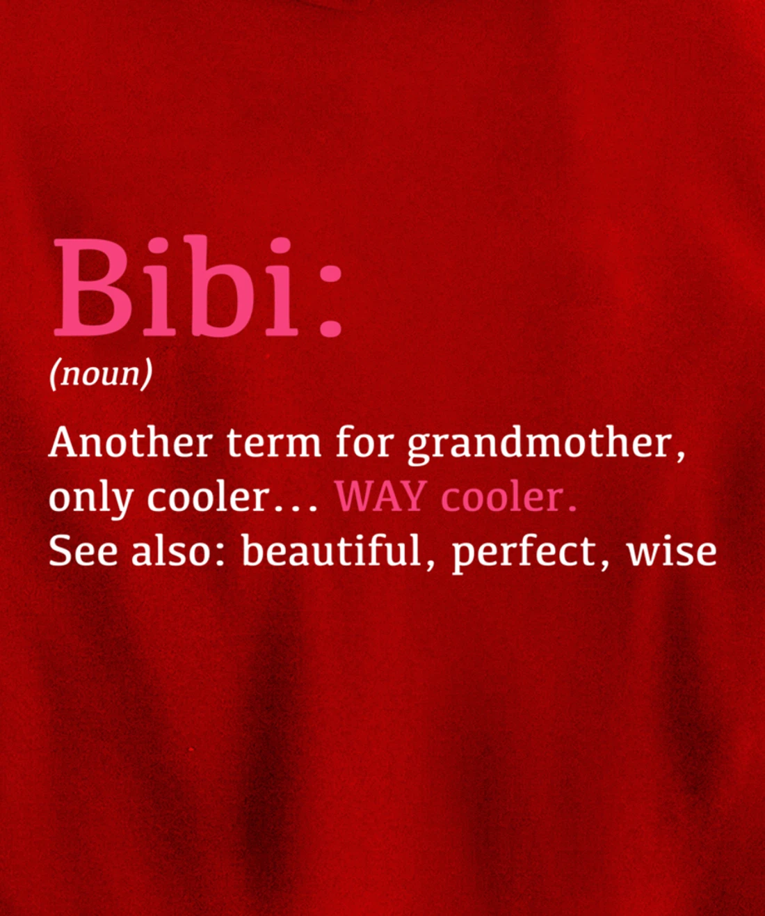 Bibi: Funny Definition Noun - Another Term Pullover Hoodie