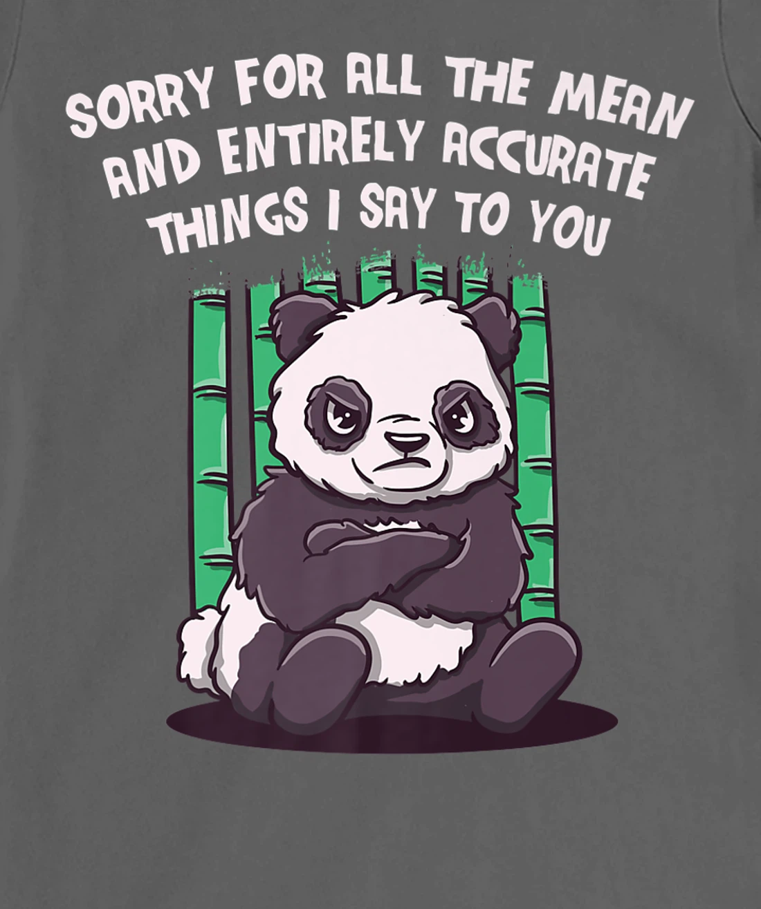 Sorry for the Mean and Accurate Things I Say Funny Sarcastic T-Shirt, Women T-Shirt