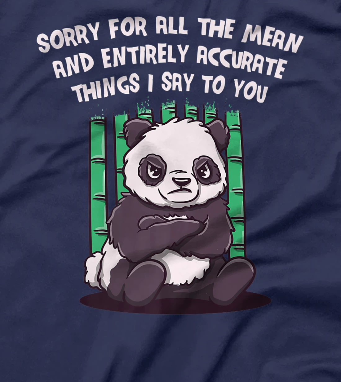 Sorry for the Mean and Accurate Things I Say Funny Sarcastic T-Shirt, Women T-Shirt