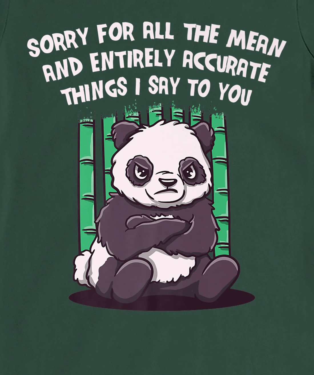 Sorry for the Mean and Accurate Things I Say Funny Sarcastic T-Shirt, Women T-Shirt