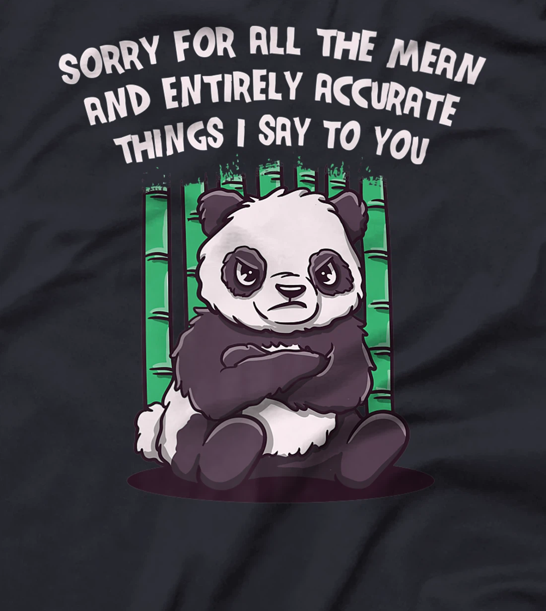 Sorry for the Mean and Accurate Things I Say Funny Sarcastic T-Shirt, Women T-Shirt