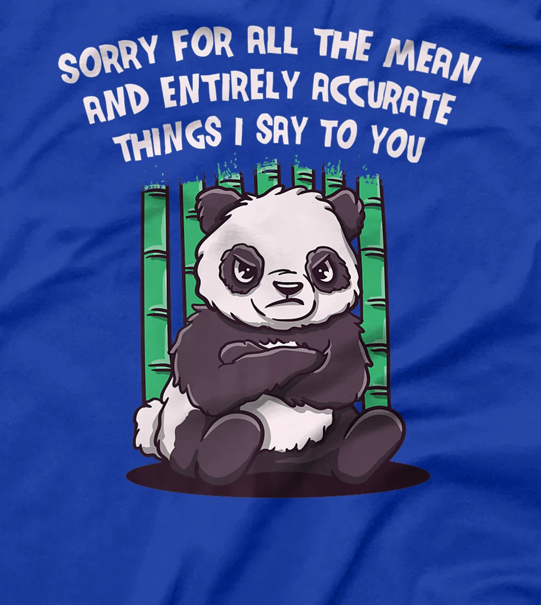 Sorry for the Mean and Accurate Things I Say Funny Sarcastic T-Shirt, Women T-Shirt