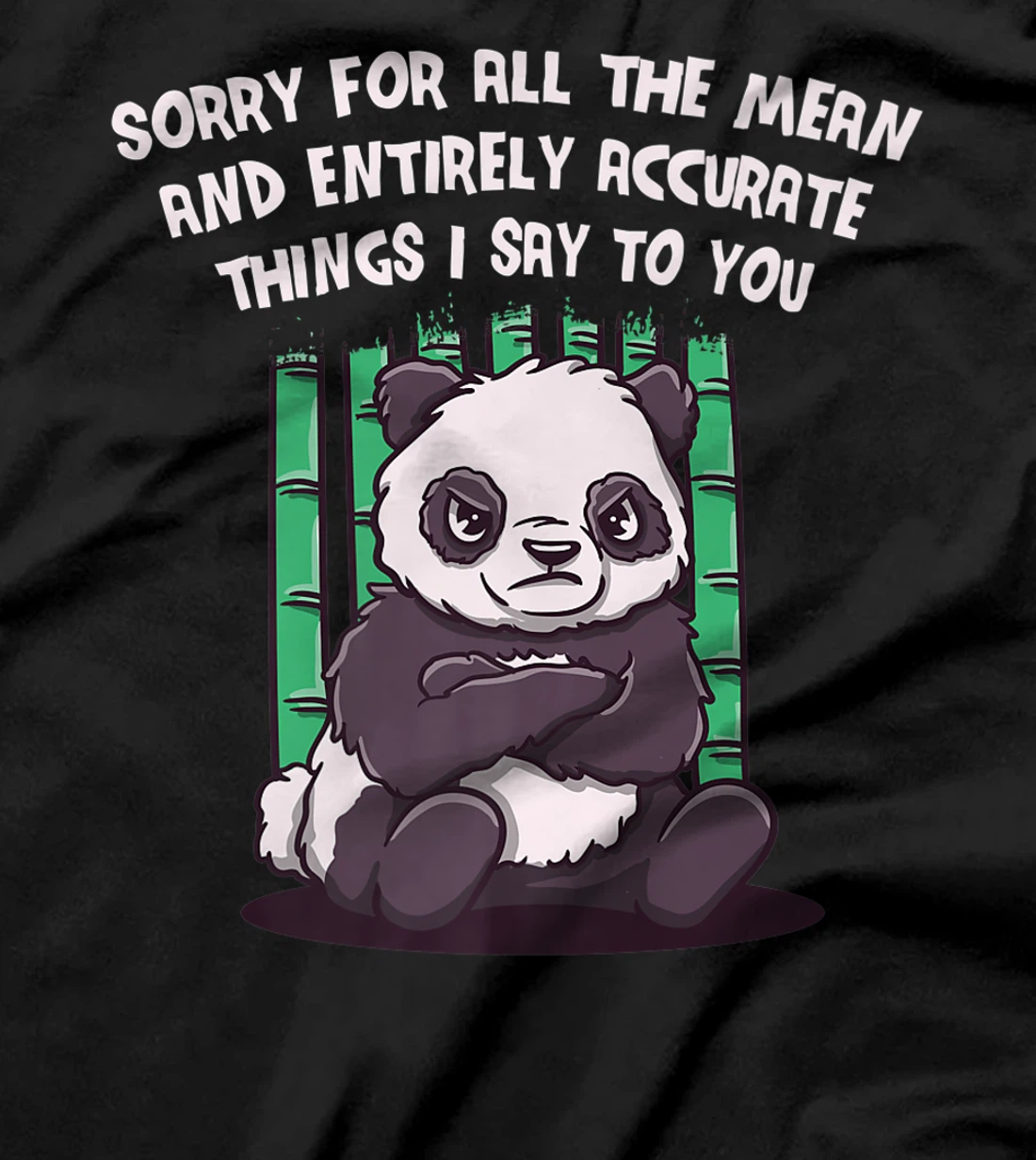 Sorry for the Mean and Accurate Things I Say Funny Sarcastic T-Shirt, Women T-Shirt