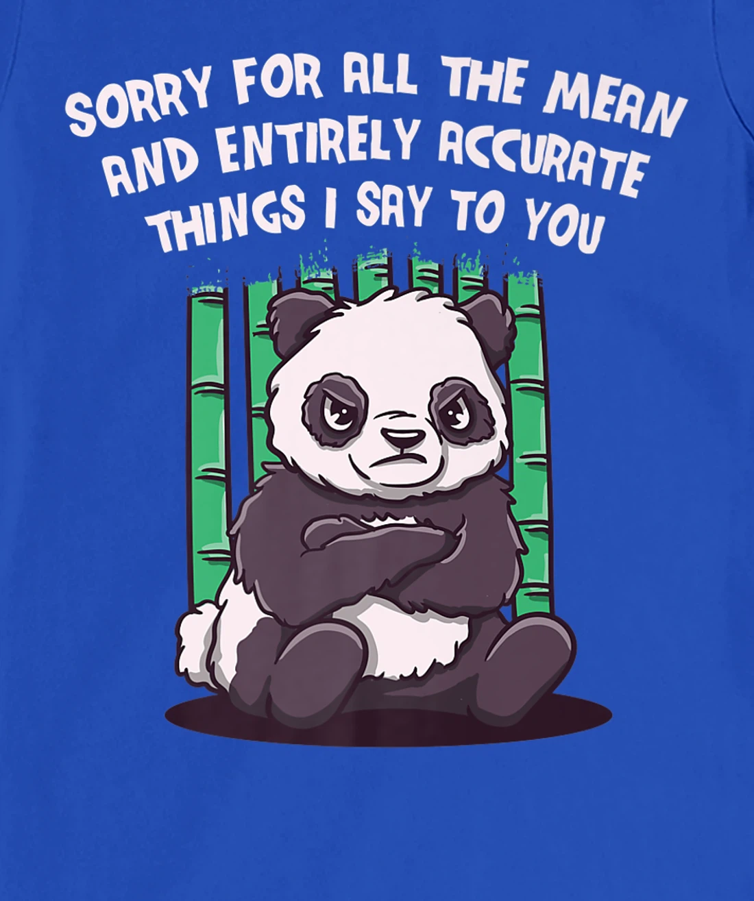 Sorry for the Mean and Accurate Things I Say Funny Sarcastic T-Shirt, Women T-Shirt
