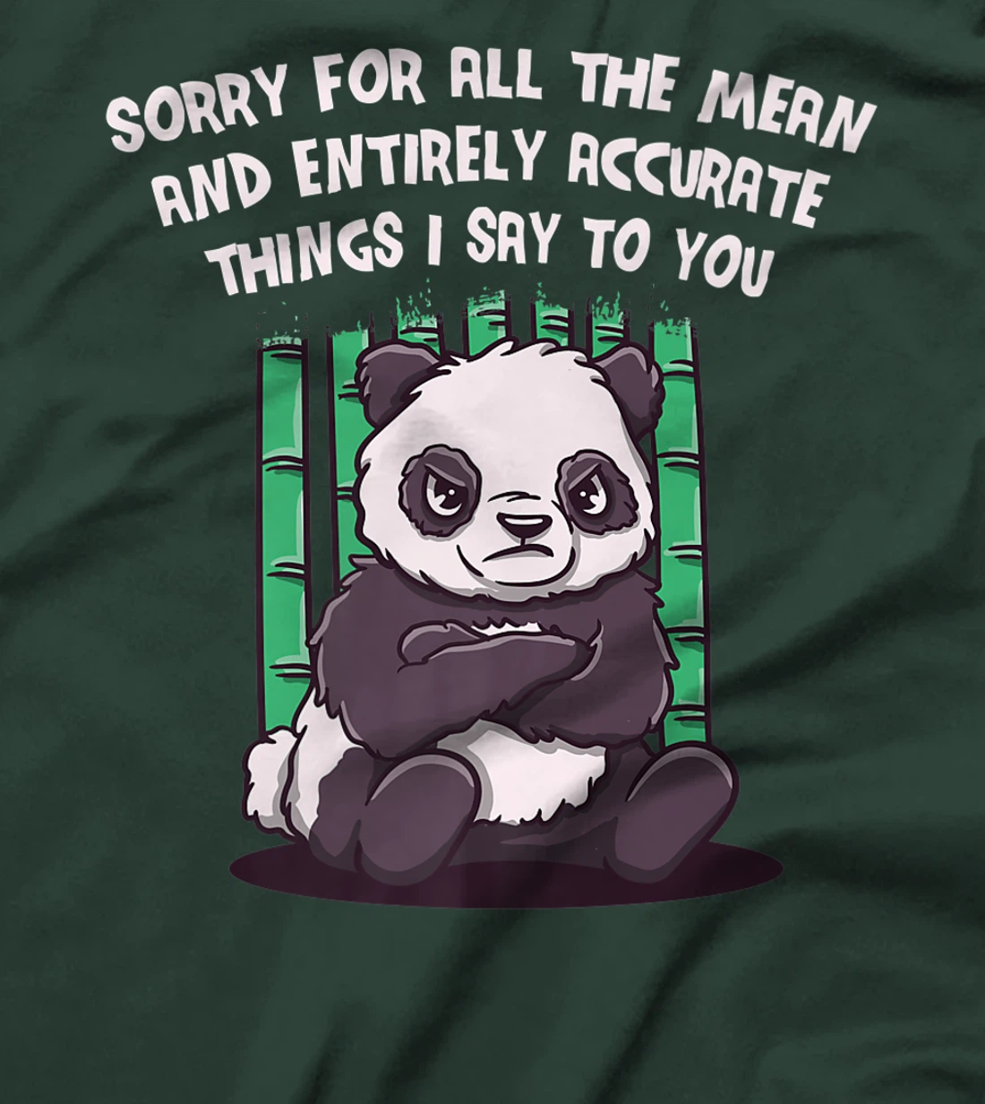 Sorry for the Mean and Accurate Things I Say Funny Sarcastic T-Shirt, Women T-Shirt