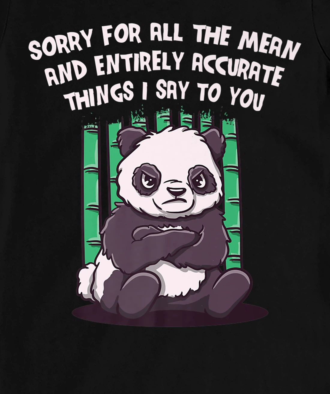 Sorry for the Mean and Accurate Things I Say Funny Sarcastic T-Shirt, Women T-Shirt