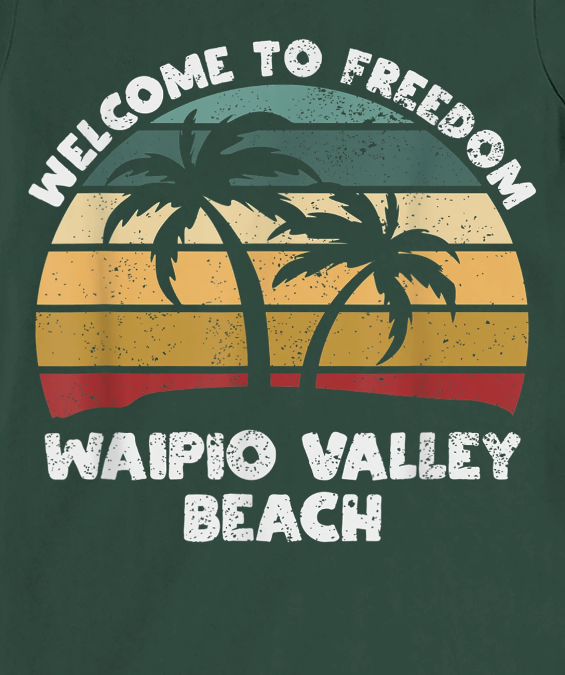 Waipio Valley Beach Welcome to Summer Hawaii T-Shirt, Women T-Shirt