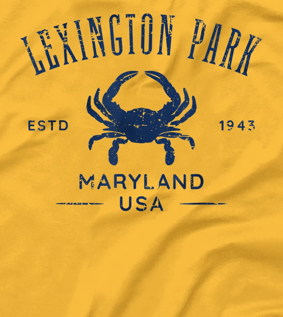 Lexington Park in Southern Maryland Est 1637 Distressed T-Shirt, Kid T-Shirt and Women T-Shirt