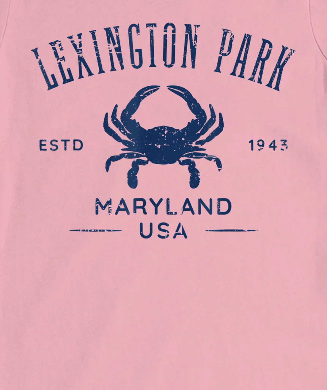 Lexington Park in Southern Maryland Est 1637 Distressed T-Shirt, Kid T-Shirt and Women T-Shirt