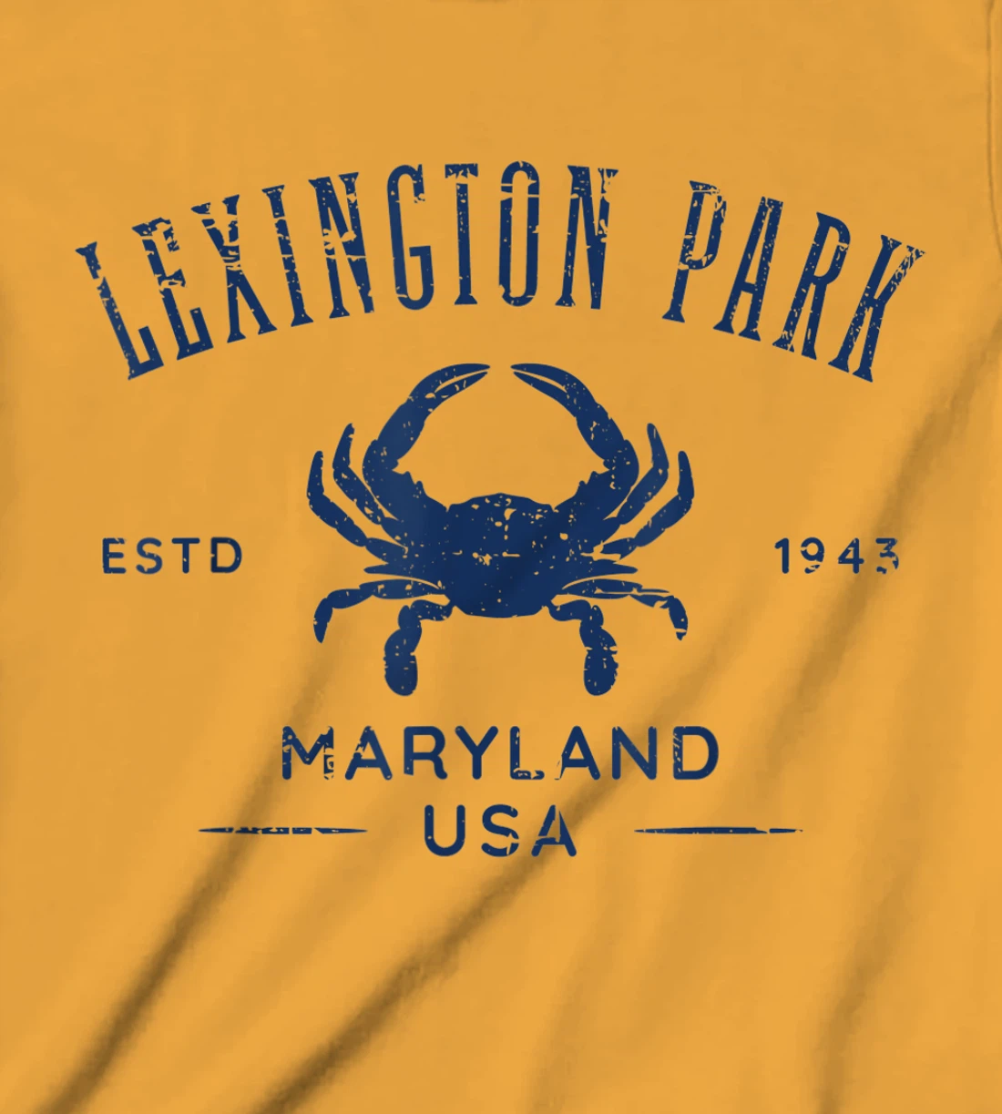 Lexington Park in Southern Maryland Est 1637 Distressed T-Shirt, Kid T-Shirt and Women T-Shirt